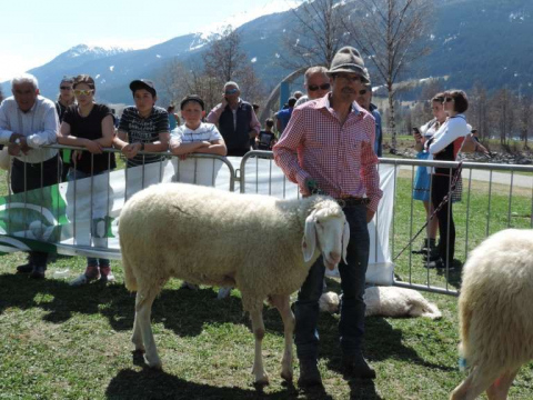 60-jähriges-Jubiläum-des-SZV-Obervinschgau-13