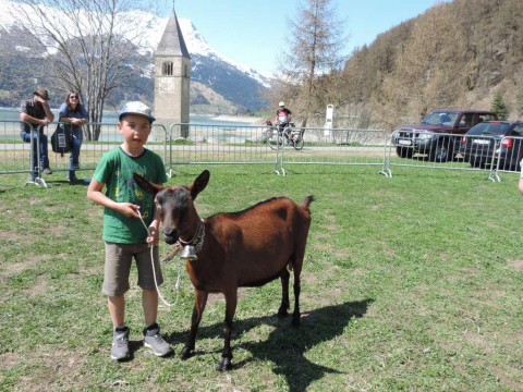 60-jähriges-Jubiläum-des-SZV-Obervinschgau-16