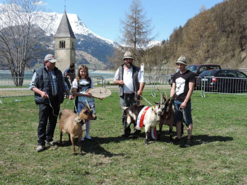 60-jähriges-Jubiläum-des-SZV-Obervinschgau-18