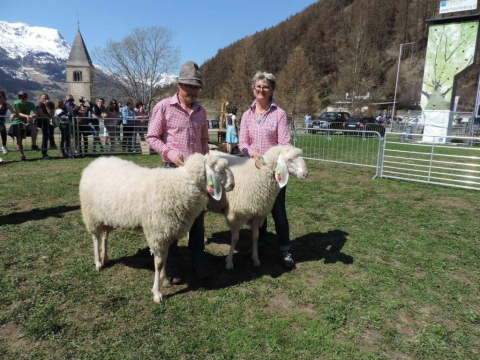 60-jähriges-Jubiläum-des-SZV-Obervinschgau-19