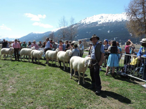 60-jähriges-Jubiläum-des-SZV-Obervinschgau-2