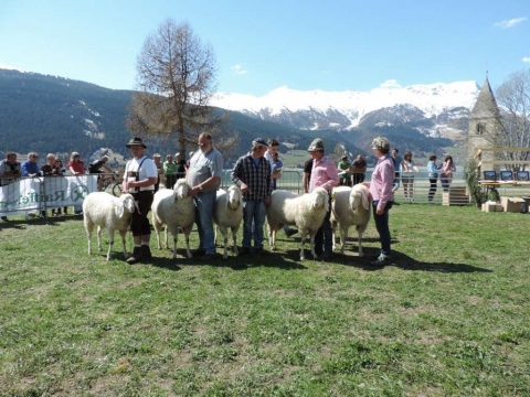 60-jähriges-Jubiläum-des-SZV-Obervinschgau-20