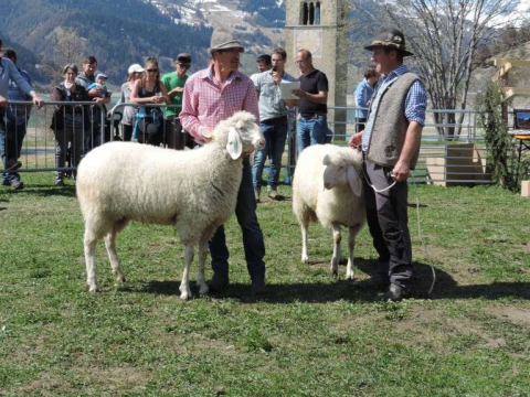 60-jähriges-Jubiläum-des-SZV-Obervinschgau-21