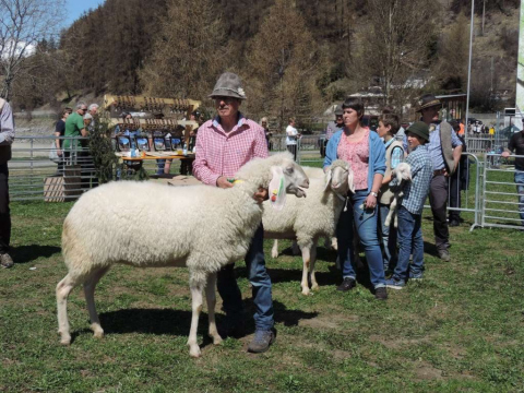 60-jähriges-Jubiläum-des-SZV-Obervinschgau-6