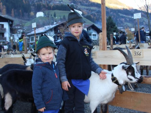 7. Pseirer Goasausstellung