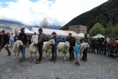 Ausstellung der 3 Bezirke Vinschgau