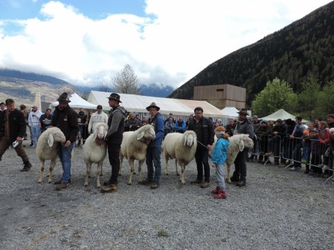 Ausstellung der 3 Bezirke Vinschgau