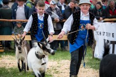 Gemeinsame Tierschau in Völs