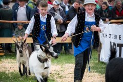 Gemeinsame Tierschau in Völs