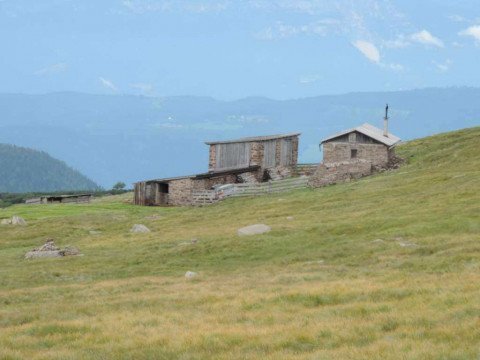 Internationaler-Schafalmwandertag-am-Rittner-Horn-6