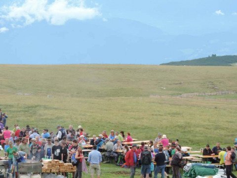 Internationaler-Schafalmwandertag-am-Rittner-Horn-7