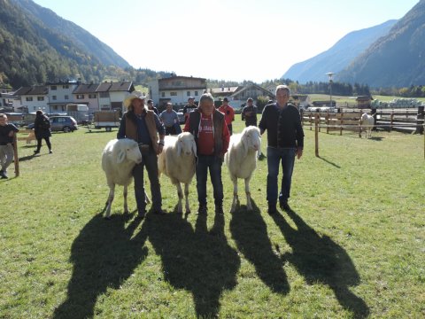 Jubiläumsausstellung 40 Jahre SZV Sand in Taufers