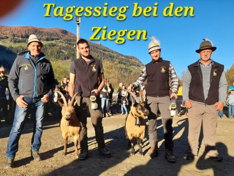 Tagessieger Ziegen mit Kommission