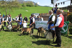 Jubiläumsausstellung SZV Schlerngebiet