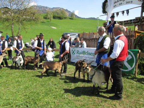 Jubiläumsausstellung SZV Schlerngebiet