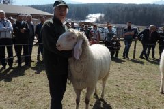 Pustertaler Gebietsausstellung in Pfalzen