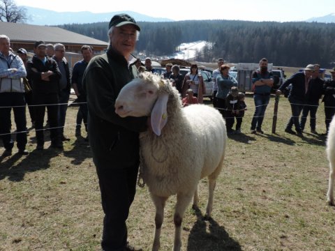 Pustertaler Gebietsausstellung in Pfalzen