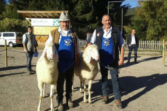 Schaf- & Ziegenausstellung des SZV Mölten